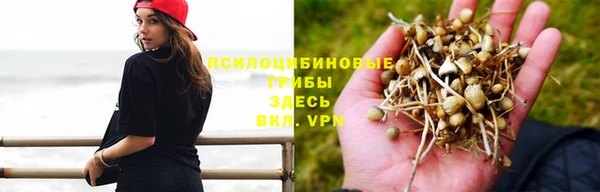 ешки Абинск