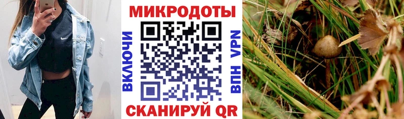 Псилоцибиновые грибы прущие грибы  сколько стоит  Азов 